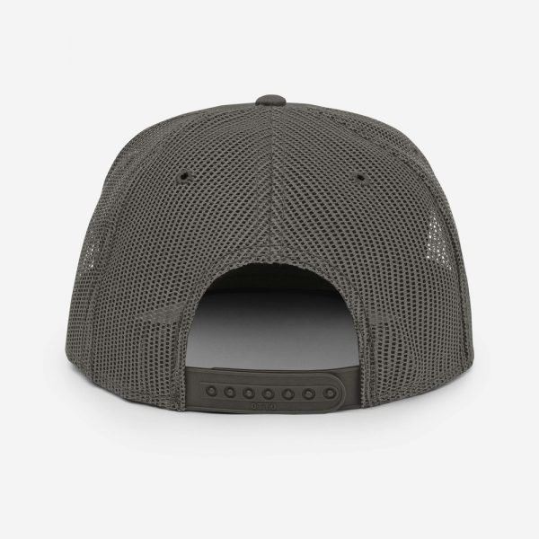 DP Mesh Back Snapback - Image 2